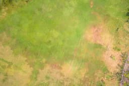 Product color Ground