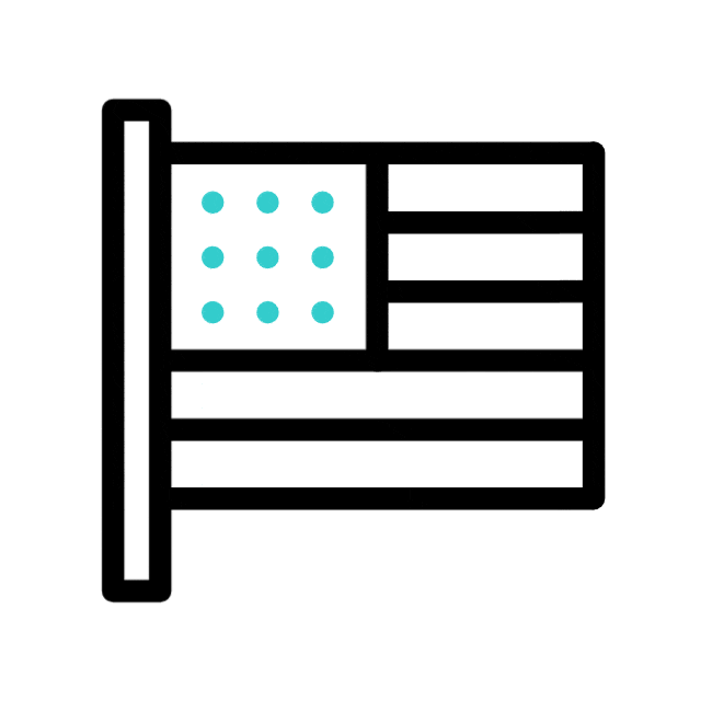 Made in America Icon
