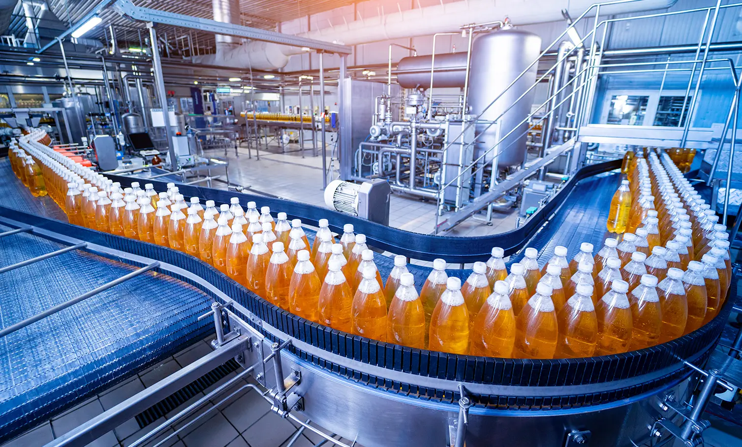 Food Processing & Manufacturing