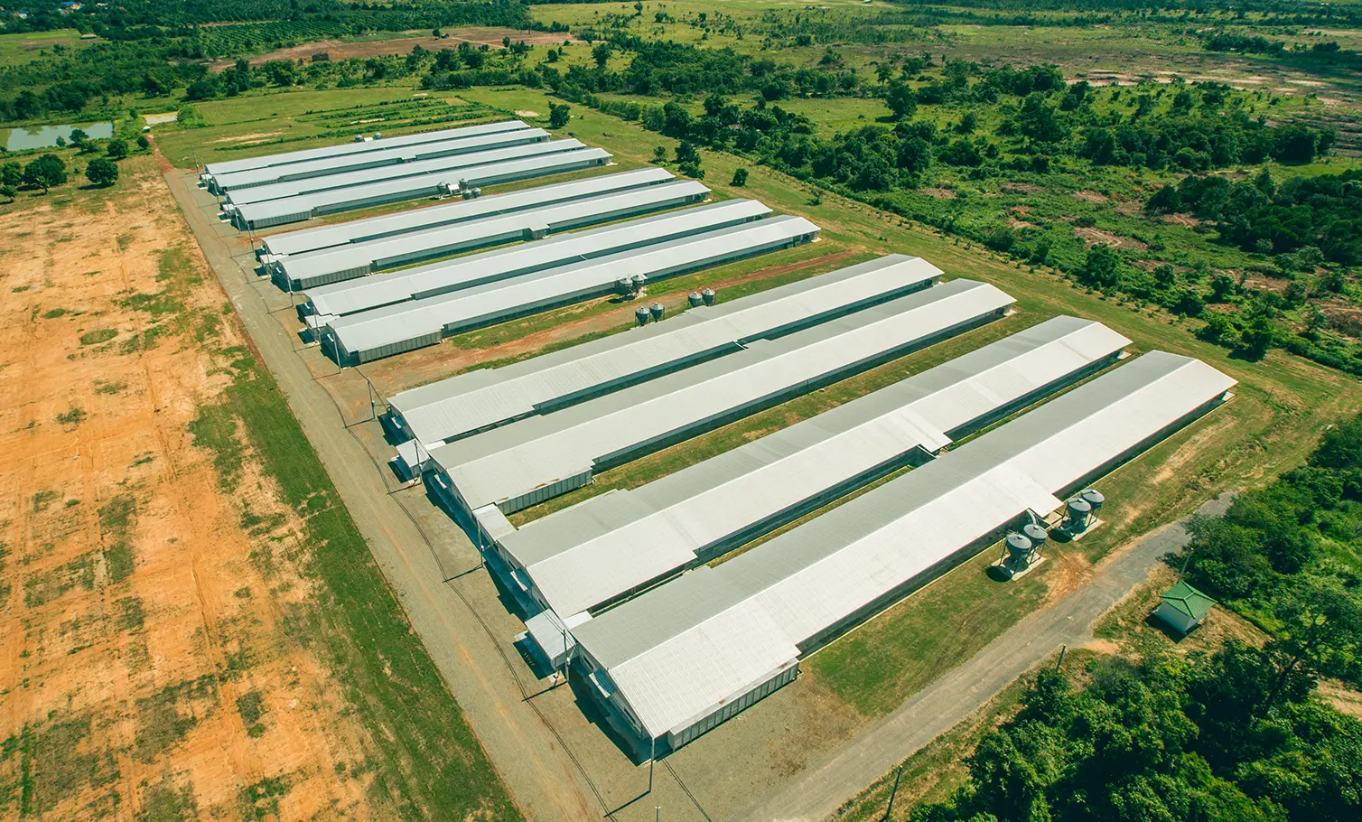 Agriculture & Farming