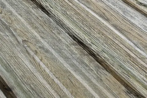 Wood Design-1
